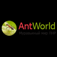 AntWorld